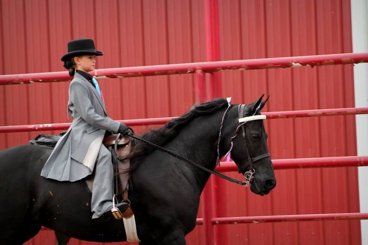 Young rider in a side-saddle habit on a black horse